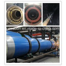 Successed Technical Reliable Quality Biomass Drying Equipment